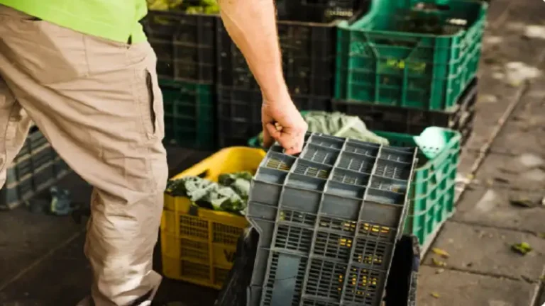 Skip Bin Hire Solutions in Brisbane for Homes and Businesses